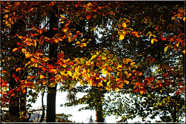 25. Oktober 2012