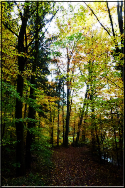 24. Oktober 2012