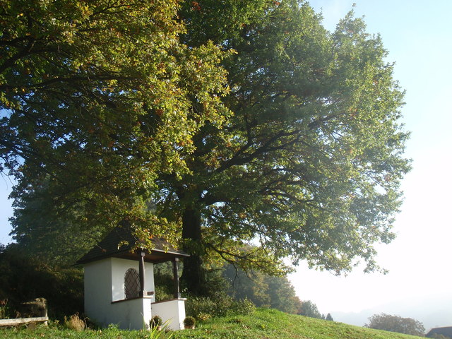 ...aufgenommen am Gschaiderberg an der Grenze von Hallwang/ Elixhausen.