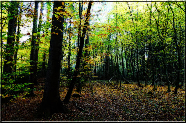 23. Oktober 2012