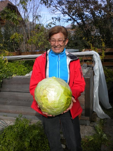 Tolle Ernte von Klara Moser aus Tamsweg