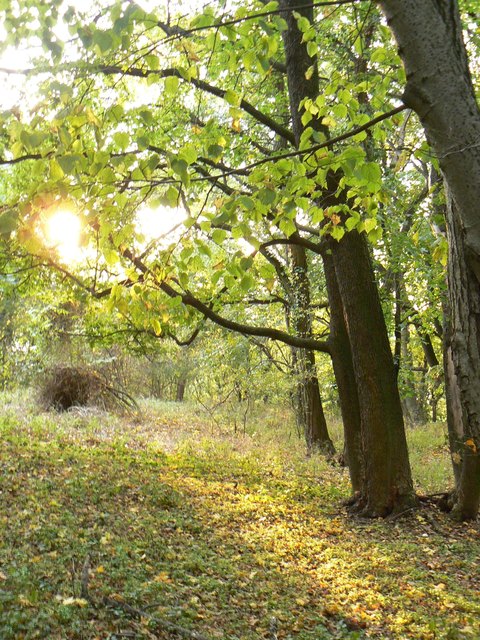 Foto: Gabriella Bösze