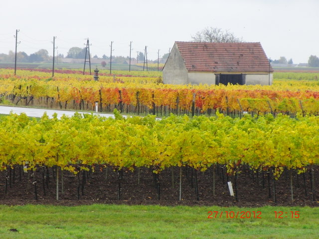 Blick in die bunte Landschaft bei Engabrunn