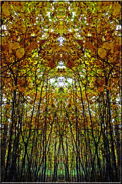 25. Oktober 2012 Oktoberwald