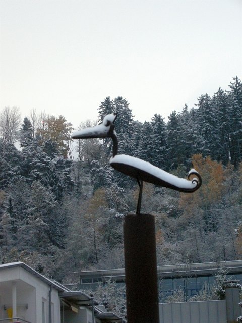 "Schneevogel" oder vielleicht doch "Eis(en)vogel" von Bernhard Witsch, Telfs