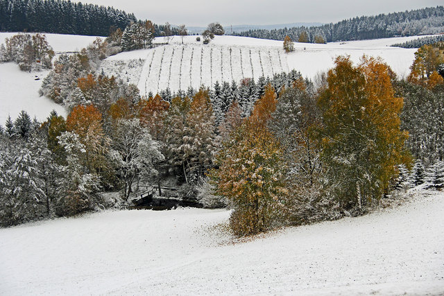 ...für mich noch viel zu früh, aber mit den Herbstfarben doch sehr schön.