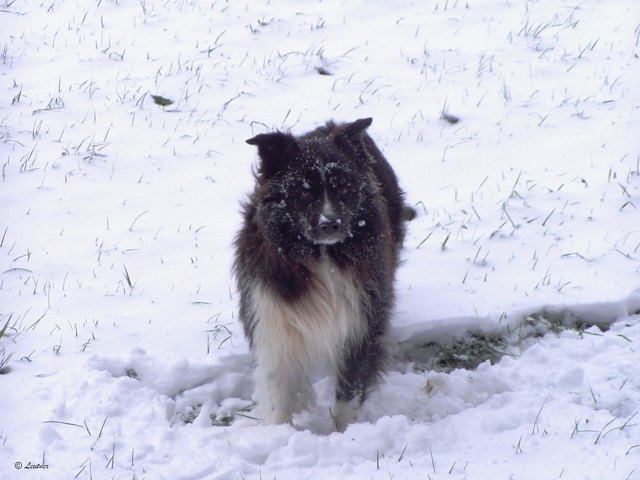 Momo war heute ganz aus dem Häuschen:-))