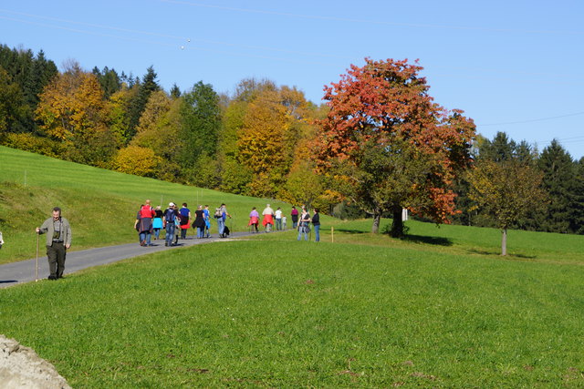 Wandern durch die bunte Herbstlandschaft