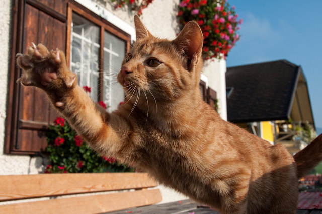 ...das könnt ihr mir glauben!