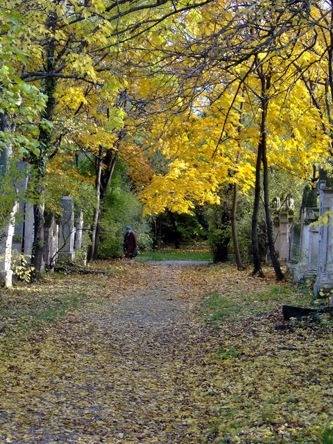 ...wer jetzt kein Haus hat baut sich keines Mehr. Wer jetzt allein ist, wird es lange bleiben. Wir wachen, lesen, lange Briefe schreiben und wird in den Alleen wandeln bis die Blätter fallen. (Rainer Maria Rilke)
