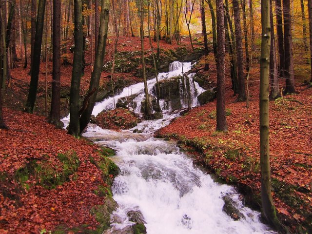 Studenzaquelle in Warmbad Villach, eiskaltes Wasser ergießt sich aus einem Felsloch mitten im Wald, während nur einige hundet Meter entfernt das warme Maibachl sprudelt.