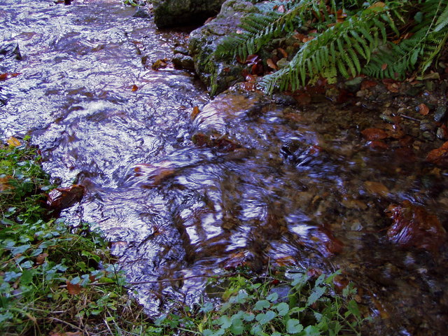 Jede Menge sauberes Wasser