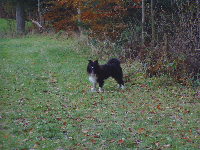 Momo is natürlich dabei