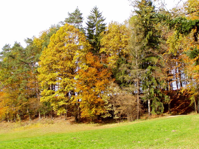 Der Schnee ist wieder weg