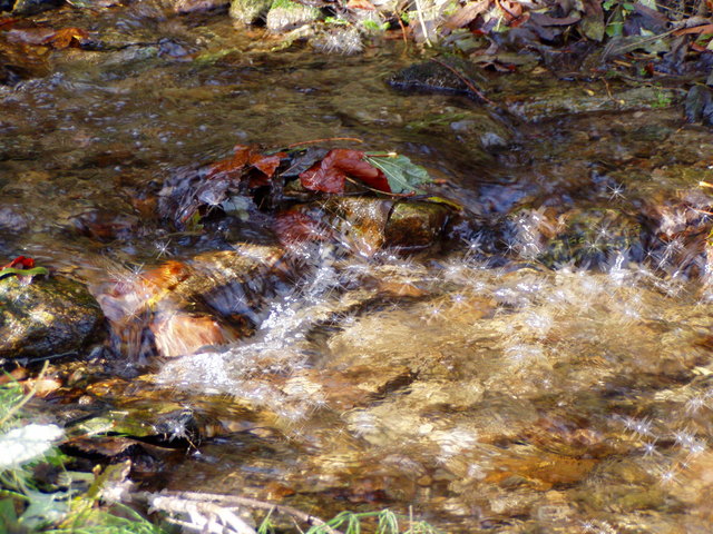 und wieder reinstes Wasser