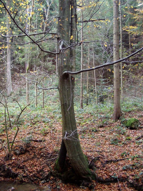 aus 2 mach 1 und dann wieder 2