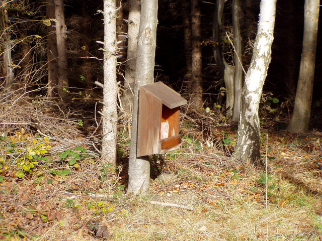 Lecker!+Salz! = Lecksalz für das Wild