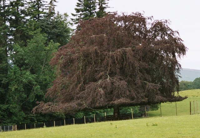 Aufgenommen in Schottland