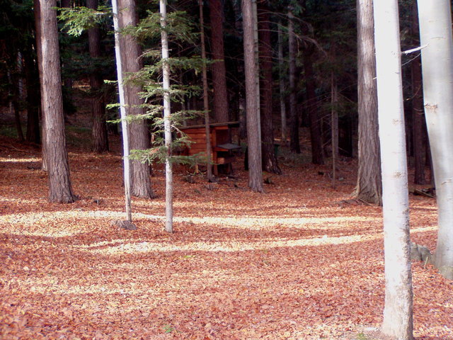 In so einem Ambiente kann nur das Wild speisen