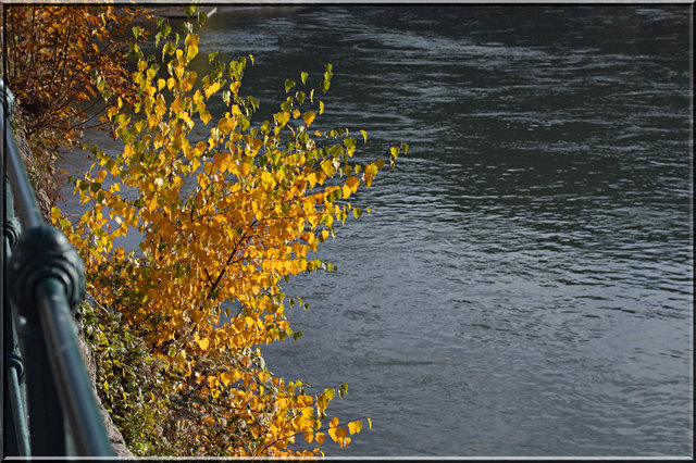 9. November 2012
