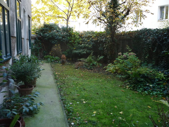 Heinestrasse-kleine Grünoase für BewohnerInnen,