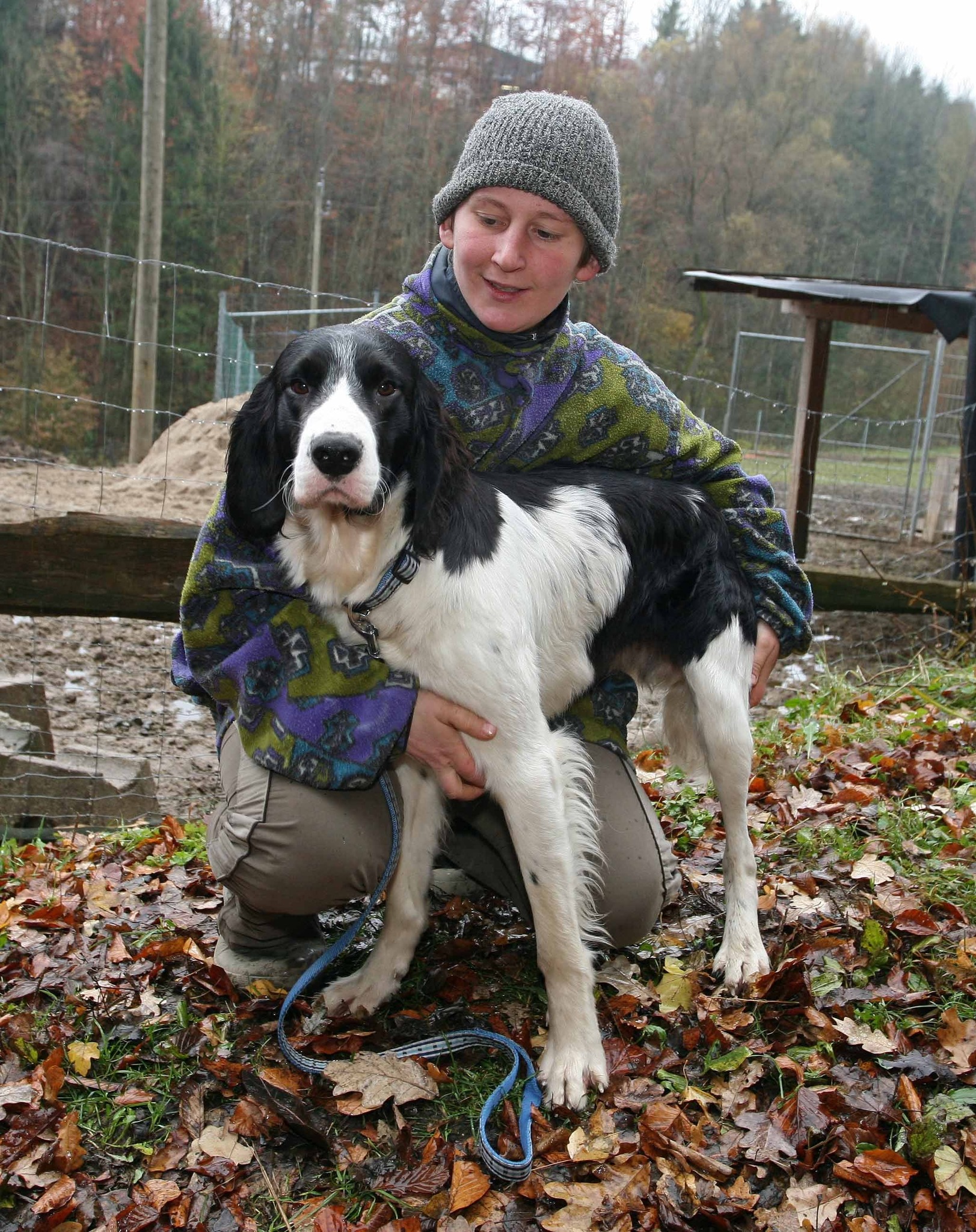 Hundehasser Forum Hundehasser Forum