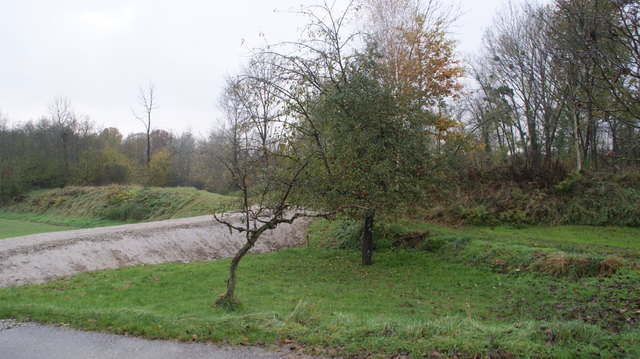 Links der angelegte Weg der Gemeinde und rechts der Privatweg von Günther Ortner.