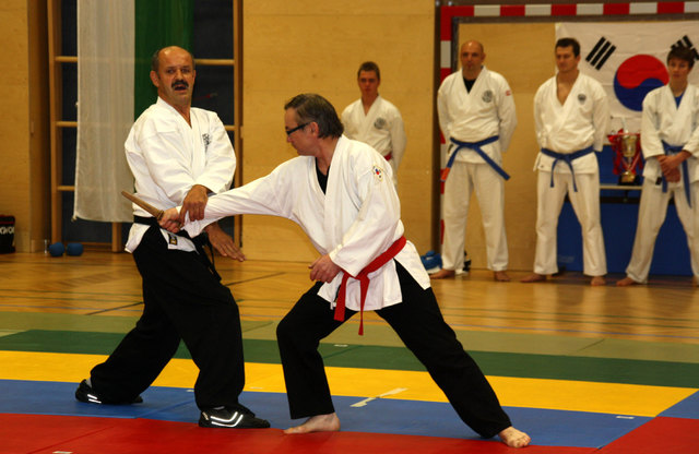 Meister Alois Schrei (l.) nahm sich bei der Freikampfmeisterschaft Zeit, um die Techniken zu beschreiben.