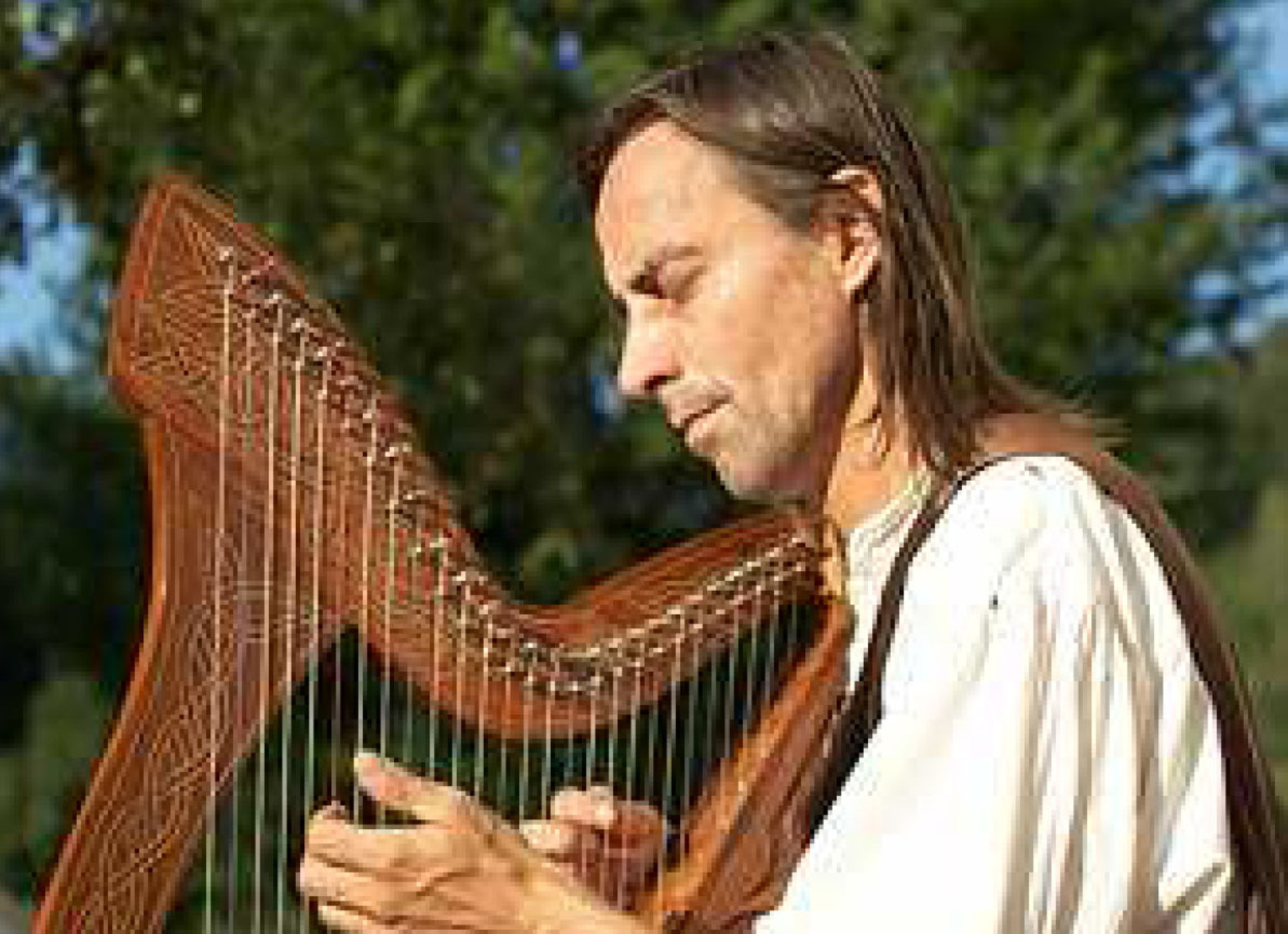 Barde Singer Der letzte Barde - Graz-Umgebung