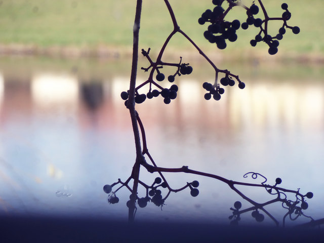 Blick durch das Fenster im Atelier