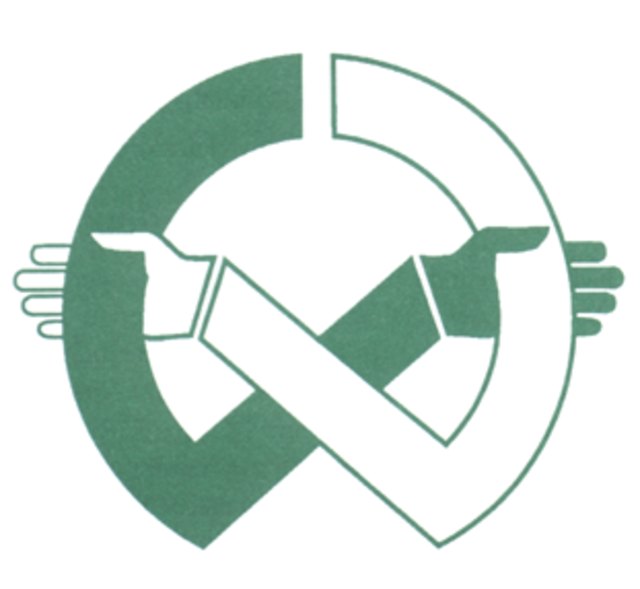 Sozialmedizinischer Betreuungsring (SMB)
