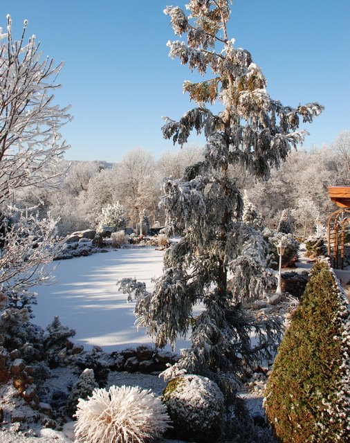 Lebensgärtnerin Christine Neuhold öffnet ihren Garten auch im Winter.