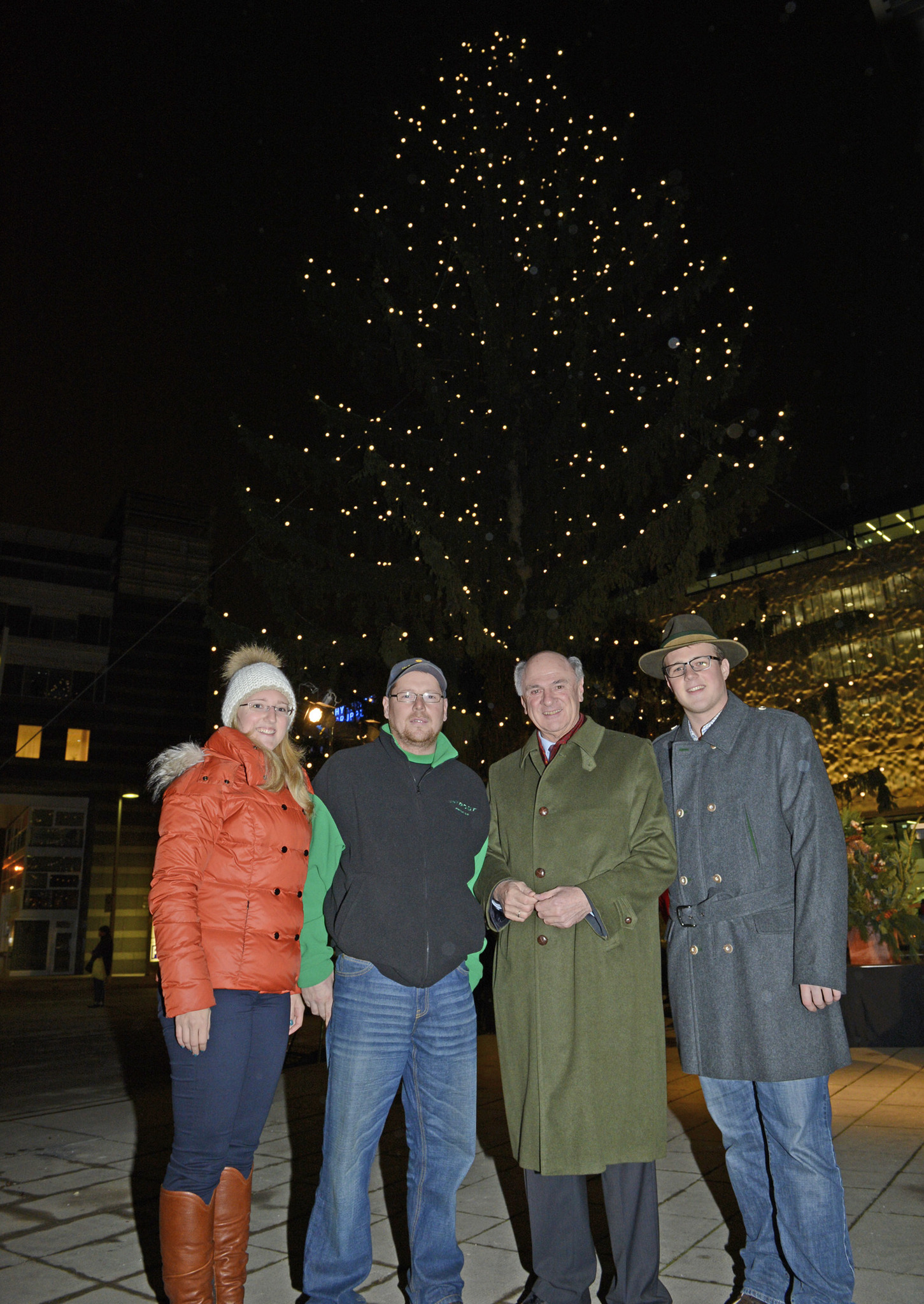 Landhaus Christbaum Durch Firma Trost Aufgestellt Lilienfeld