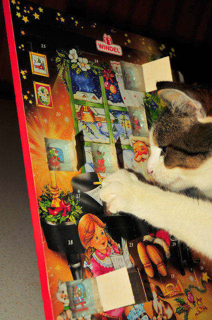 Miau: Ich weis nicht, Ist heute der 10te oder der 11te. Miau