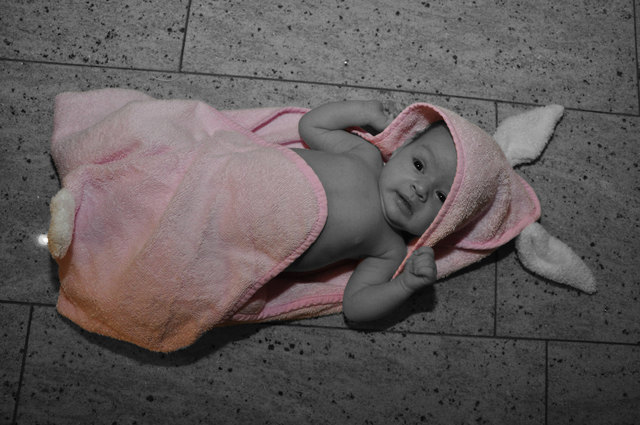 Dieses süße Häschen ist die Gewinnerin der Vorwoche! | Foto: privat