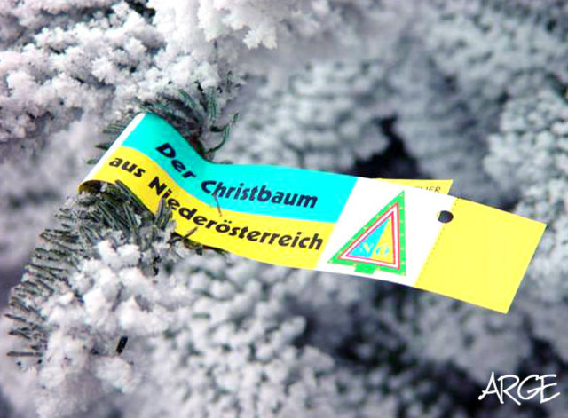 Die Schleifer der niederösterreichischen ARGE Christbaumbauern. (Foto: ARGE)