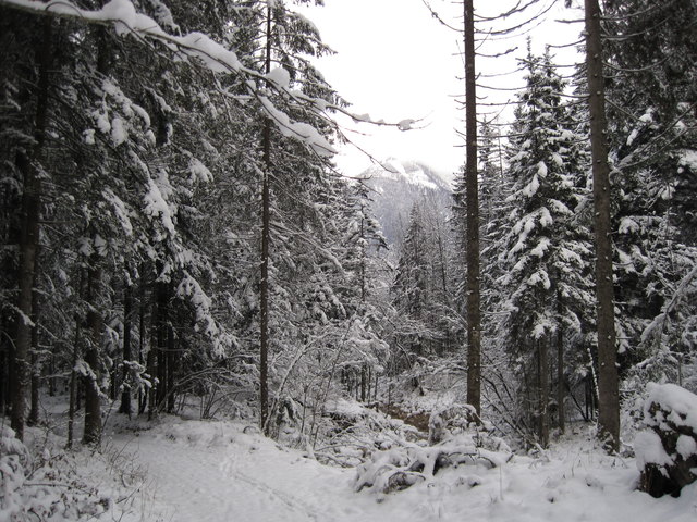 Scheffaubach mit Rettenkogel im Salzkammergut.