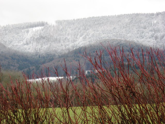 Die Schneegrenze ist noch oben gewandert.Weisse Weihnachten gibt es Heuer nicht.