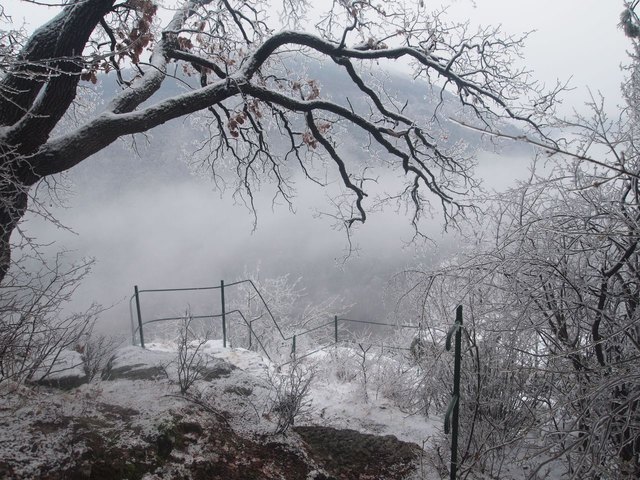 Unwirkliche Welt am Badener Steig