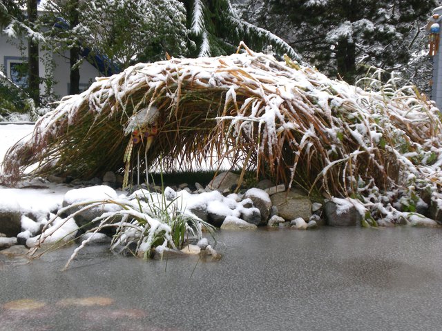 liabe Leit es schneit.....