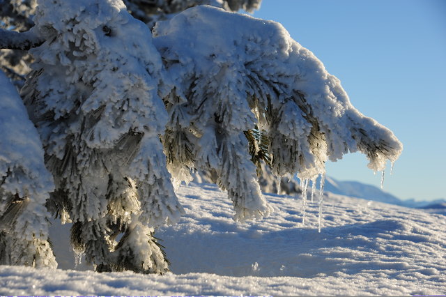 Aufgenommen auf dem Gaisberg