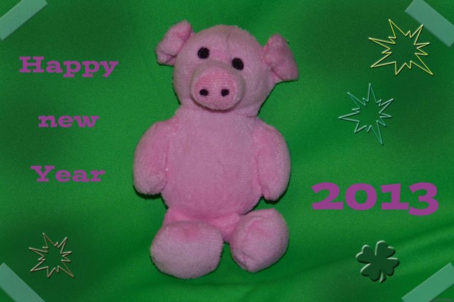 Einen guten Rutsch und ein wunderschönes neues Jahr 2013 !!!