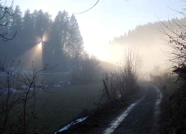 Geh deinen Weg ...