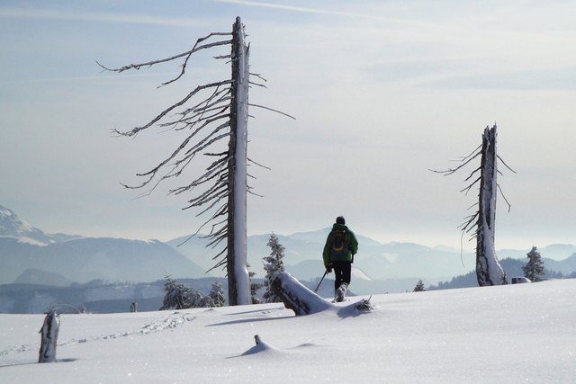 Herrliche Winterlandschaft am Zellerrain