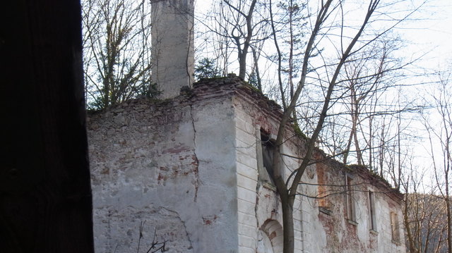 Nun wachsen Bäume durch die kaputten Fenster