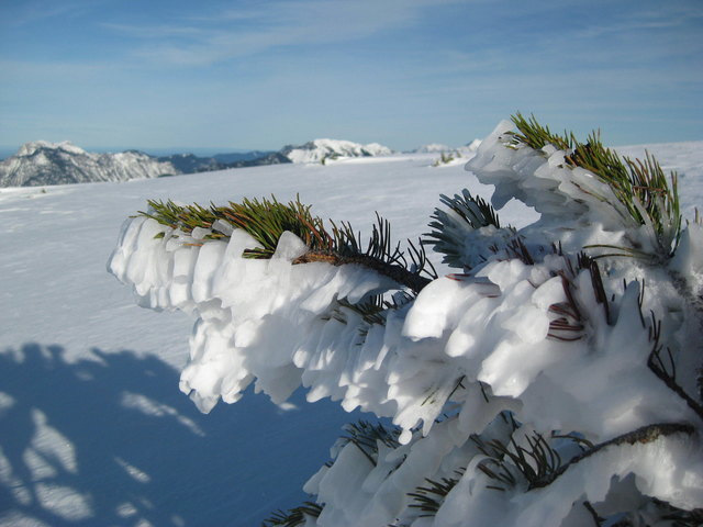 Es ist doch noch nicht verschollen -- unser schon lang vermisstes "Väterchen Frost"!