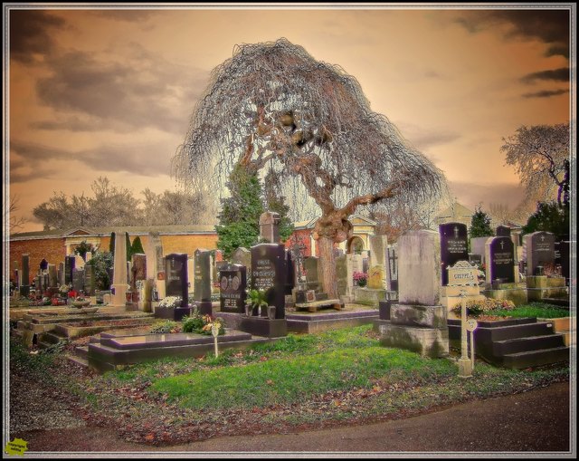 So sieht der Baum etwas anders aus!