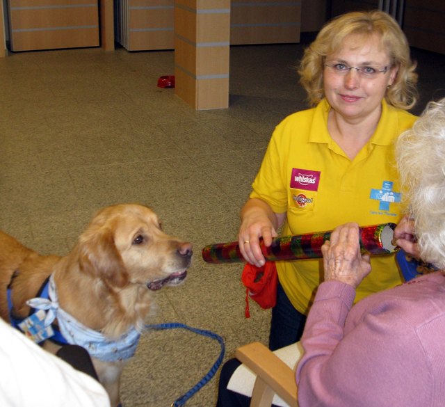 Margit Baumgartner vom Ausbildungszentrum Partnerpfote in Ternberg mit Therapiehund Kishu.