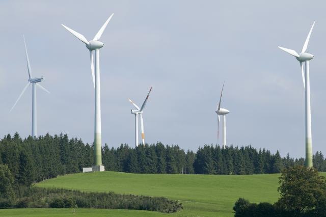 Windkraftgegner befürchten, dass das Waldviertel bald so aussehen könnte.