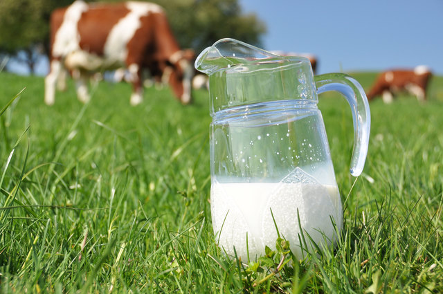 Infos über die Omega 3 Fettsäuren in der Milch bringt Florian Gadermaier.